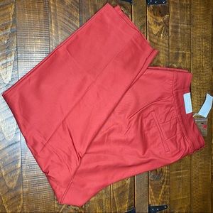 Lane Bryant The Curvy Allie Skinny Ankle